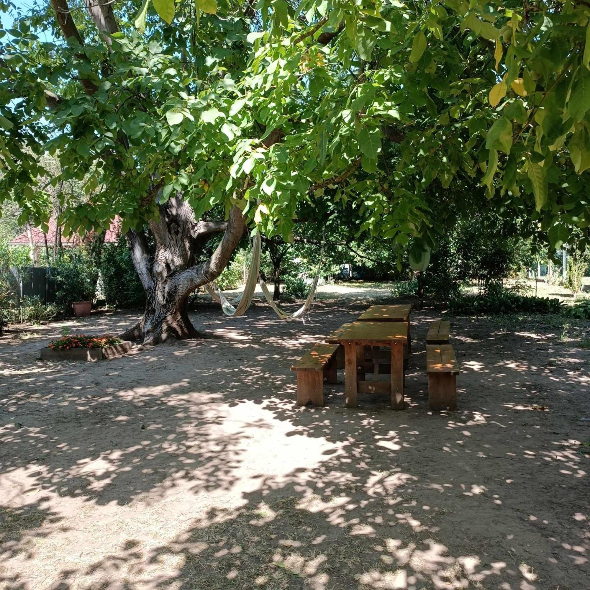 Tuerkiz Apartman - 5 Szobas 13 Fos Apartmanhaz 4Km A Balaton- Balatonszabadi Fürdőtelep Extérieur photo